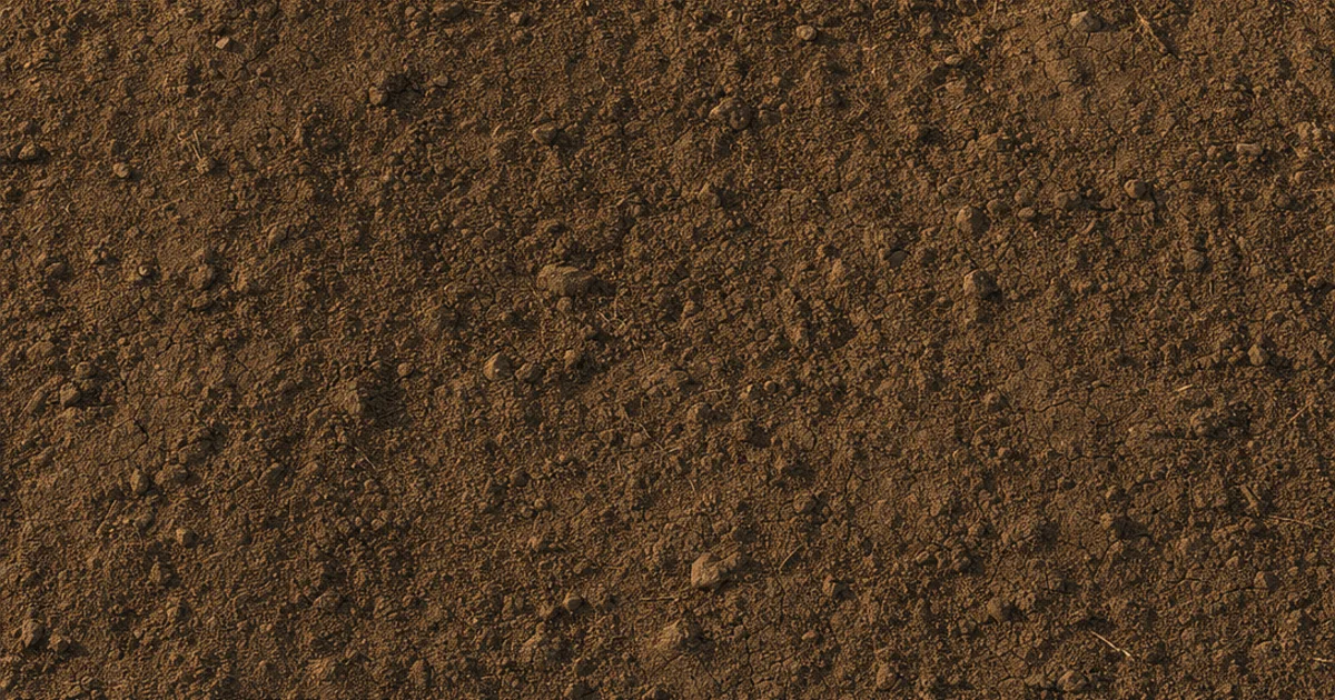 Photorealistic 3D render of rich brown soil with small clods, pebbles, and cracks tiled seamlessly across open ground under warm light with no visible repeating pattern