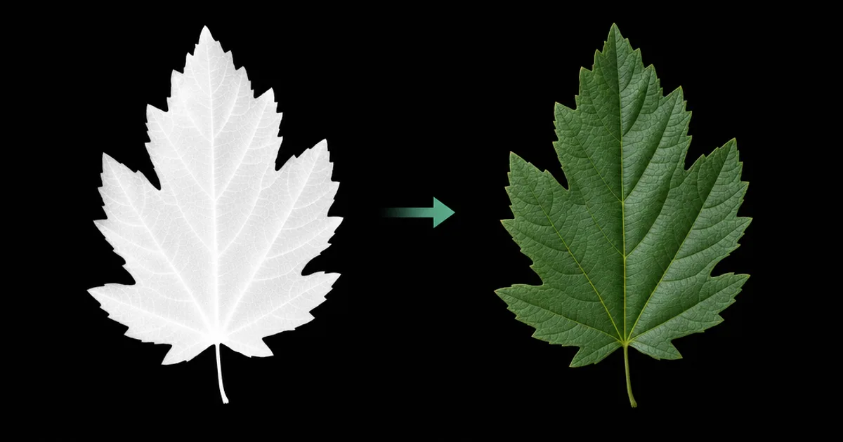 A grayscale leaf-shaped opacity mask on the left and, on the right, a flat quad rendered as a single leaf with the background showing through the black areas
